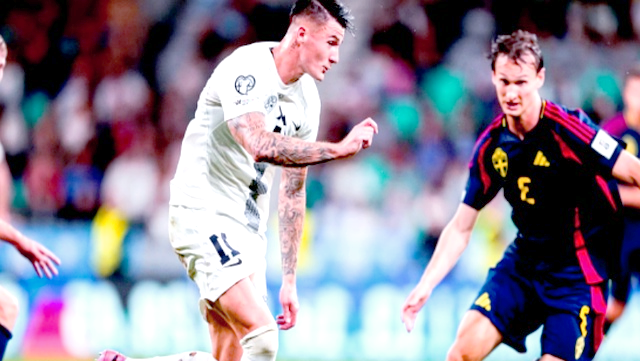 斯洛文尼亚小胜爱尔兰,欧预赛一分难求的简单介绍 斯洛文尼亚小胜爱尔兰,欧预赛一分难求的简单介绍