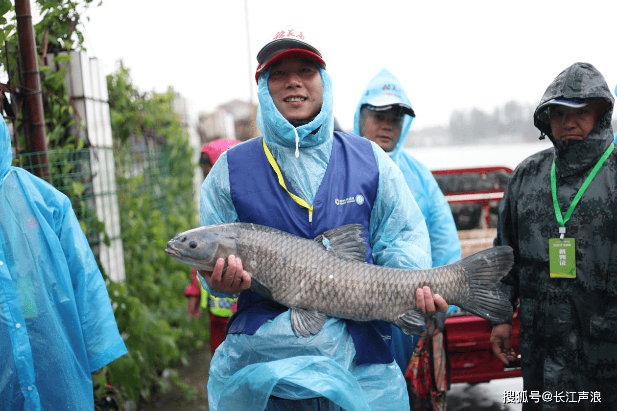 包含罗基特前往甘冈，迎接艰难比赛挑战的词条