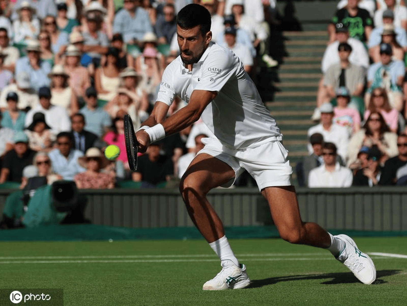 关于温网翻盘蒙特卡洛大师赛，德约科维奇统治全场的信息